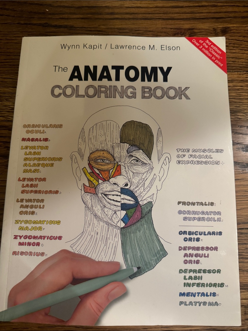 The Anatomy Coloring Book - Illustrated Cover
